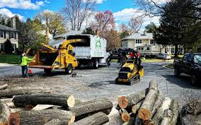 Reliable Ottawa, IL  Tree Services Solutions